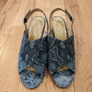 Talbots blue snakeskin wedges